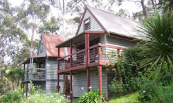 Great Ocean Road Cottages - Accommodation Mt Buller